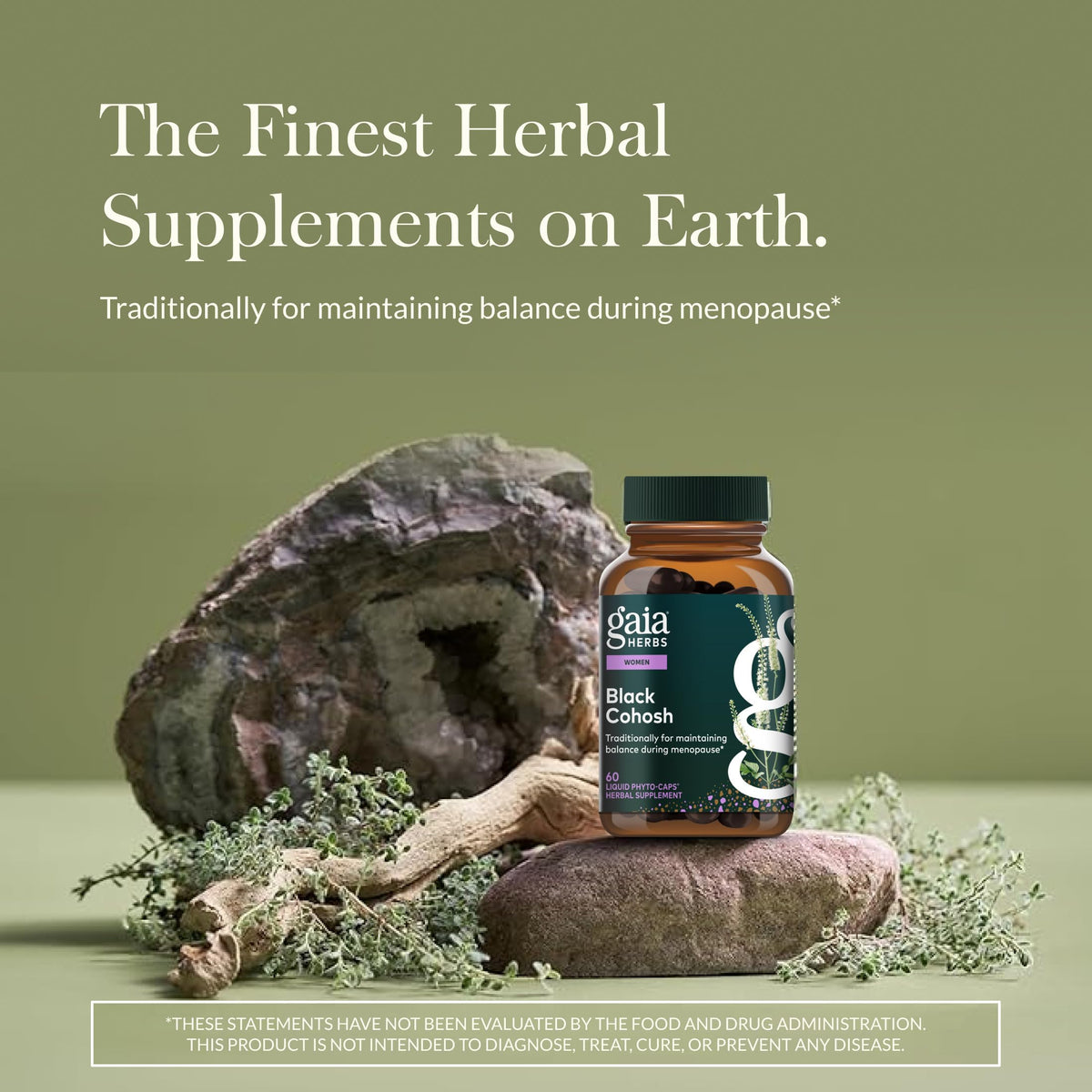 Gaia Herbs Black Cohosh emballage avec informations sur les ingrédients