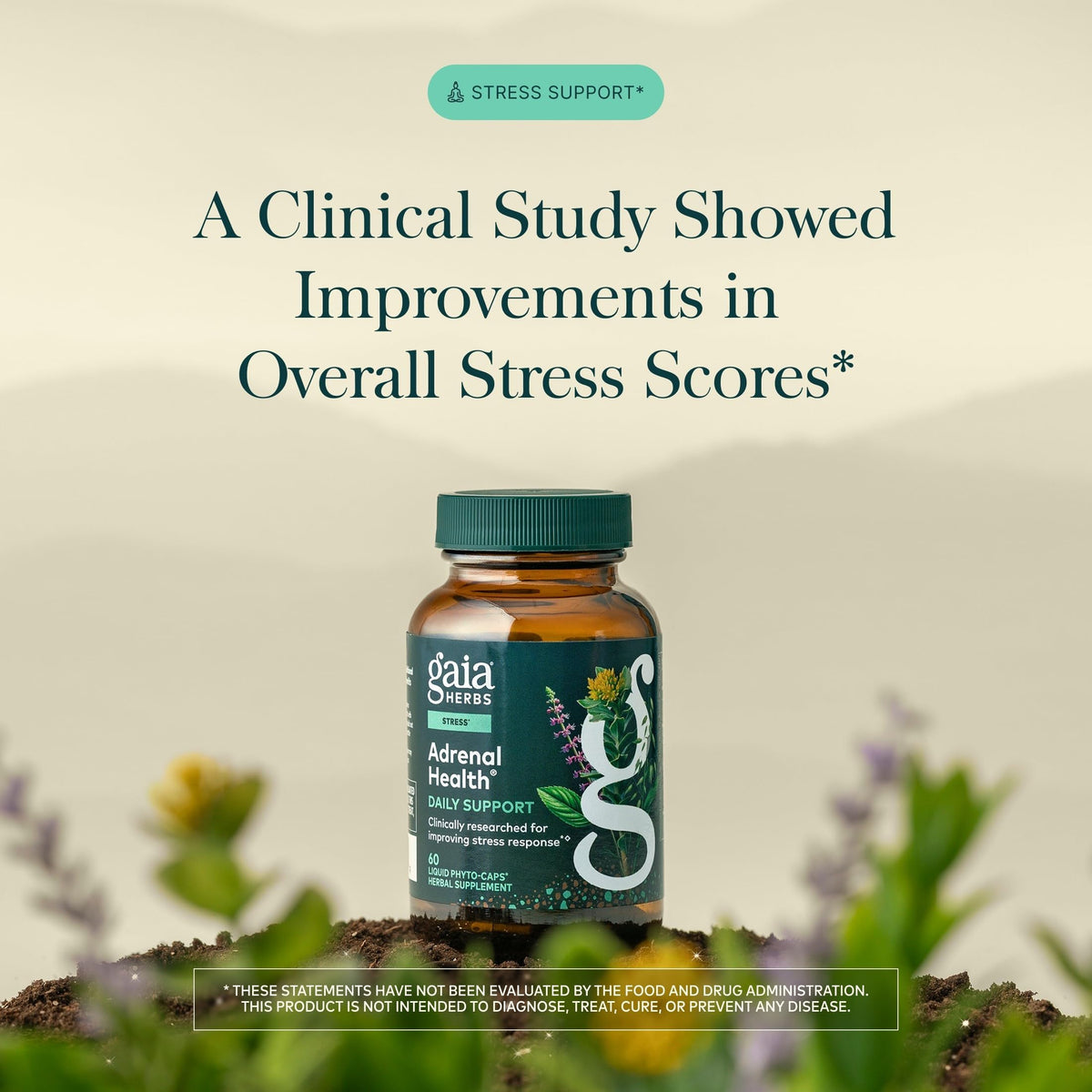 Gaia Herbs capsules végétales sur fond blanc