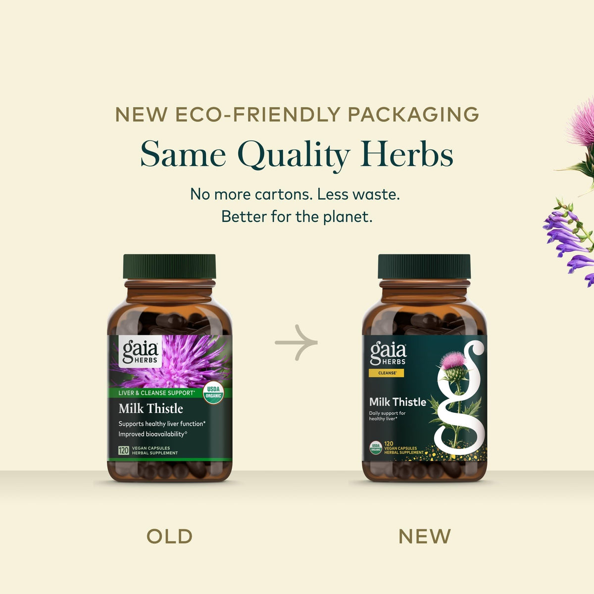 Gaia Herbs Chardon-Marie flacon avec capsules sur une table
