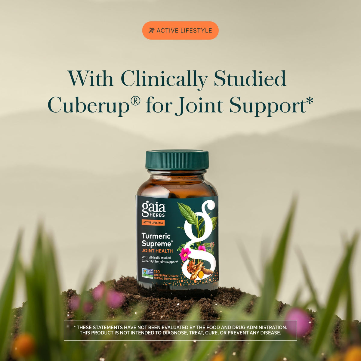 Gaia Herbs Complément Alimentaire Curcuma 120 Capsules Végétales côté