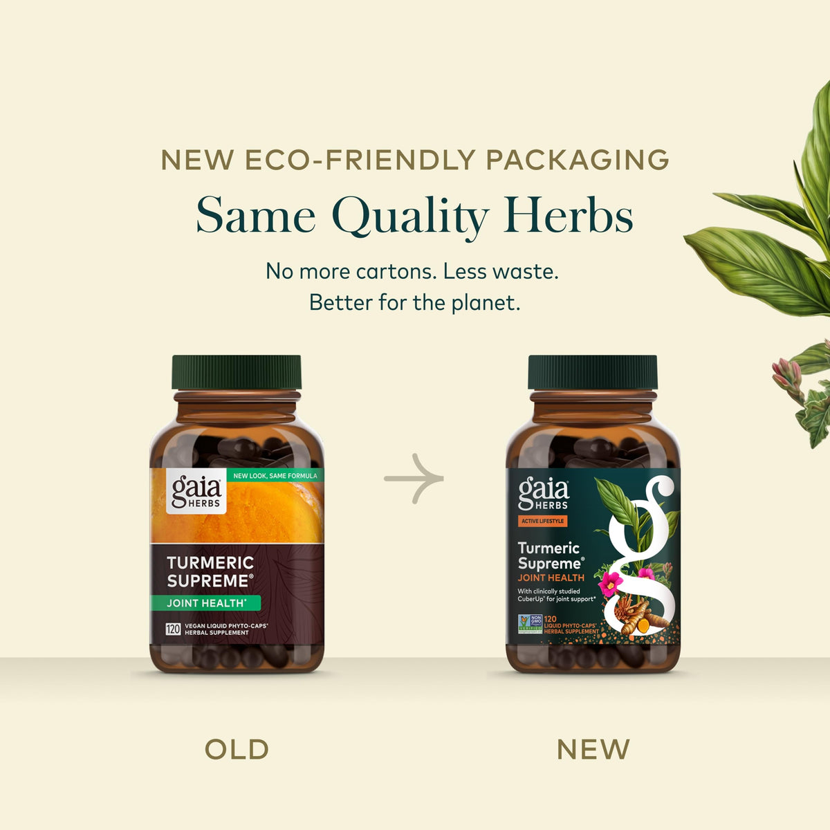 Gaia Herbs Complément Alimentaire Curcuma 120 Capsules Végétales en situation