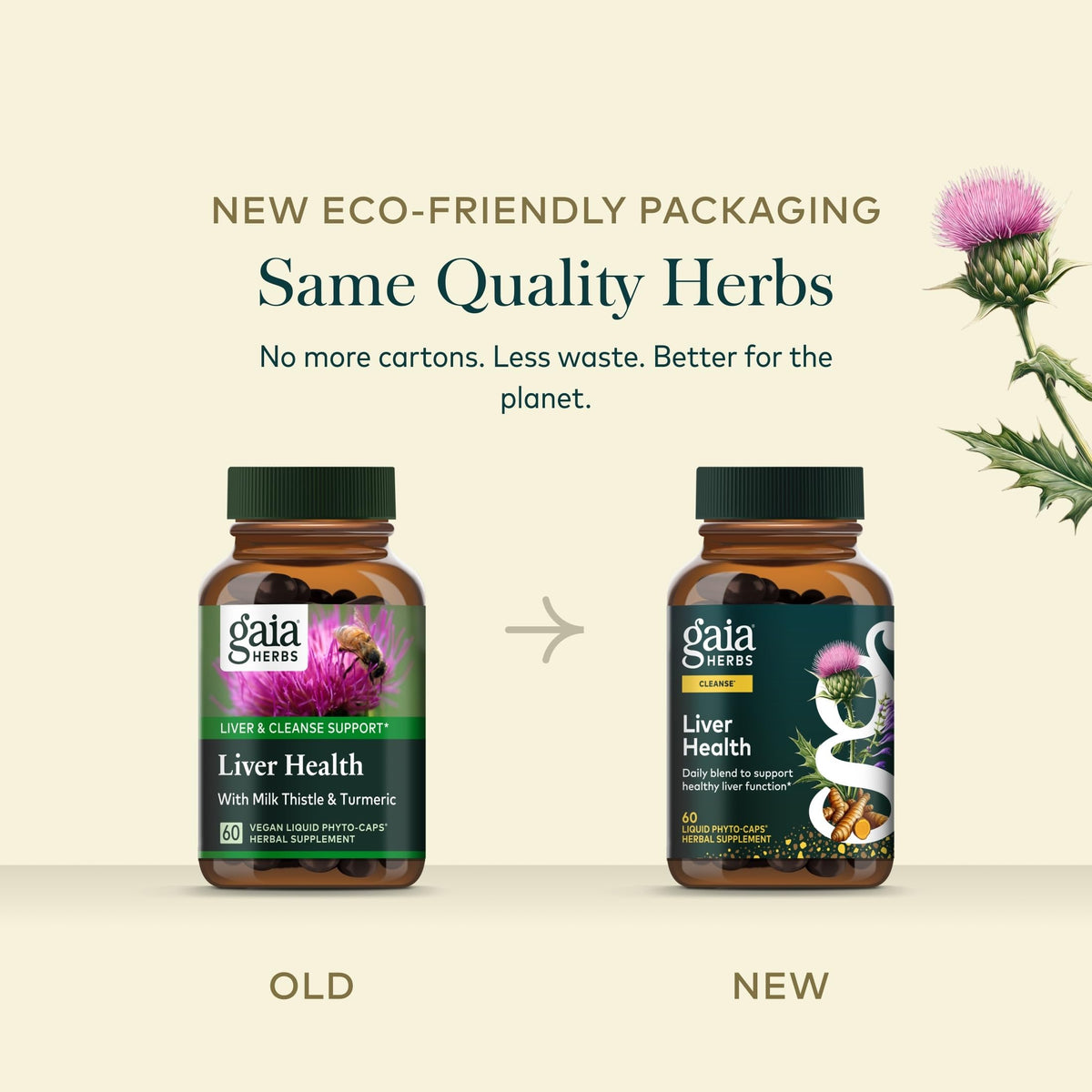 Gaia Herbs Complément Alimentaire Foie en utilisation quotidienne