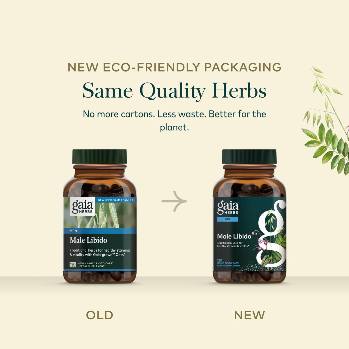 Gaia Herbs Complément Alimentaire Masculin 120 Capsules Végétales en contexte d'utilisation