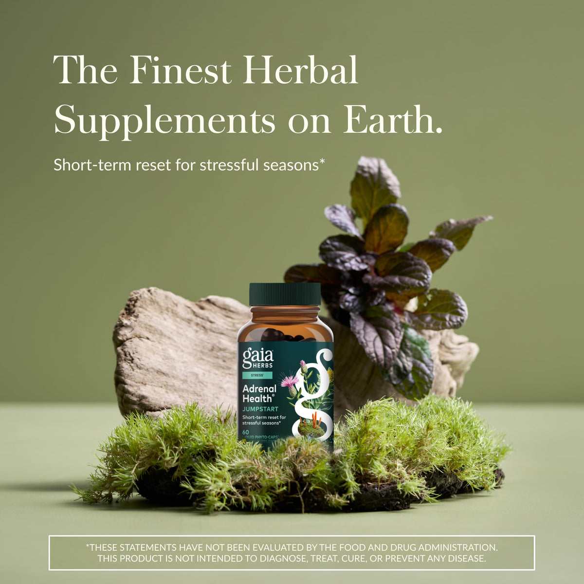 Gaia Herbs Complément Alimentaire Santé Surrénale, étiquette avec ingrédients