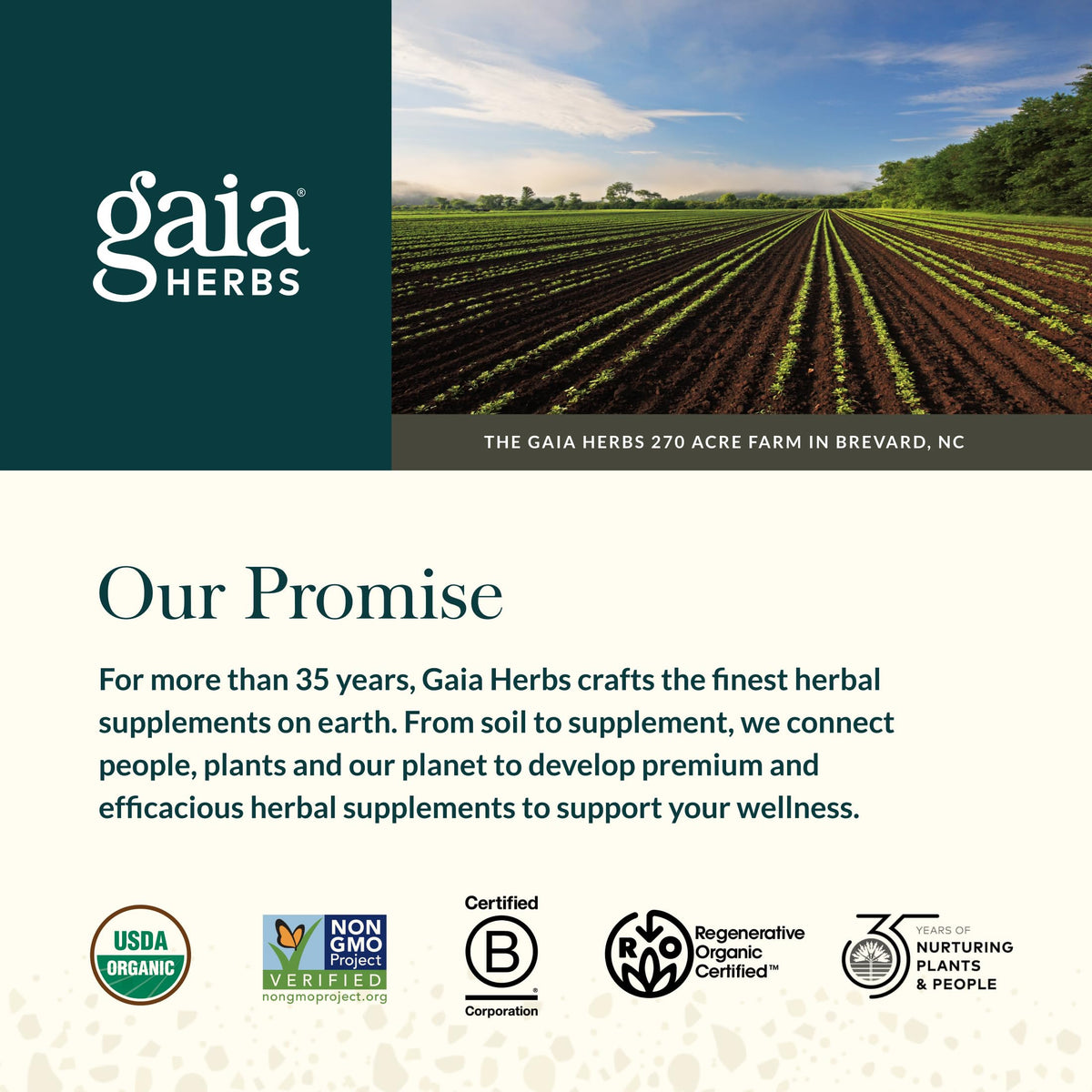Gaia Herbs Complément Alimentaire Stress Response avec des plantes