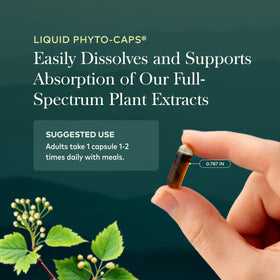 Gaia Herbs Curcuma Suprême Extra Fort sur une table avec des plantes