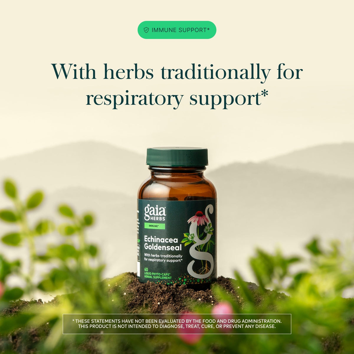 Gaia Herbs Echinacea Goldenseal capsules ouvertes sur une table