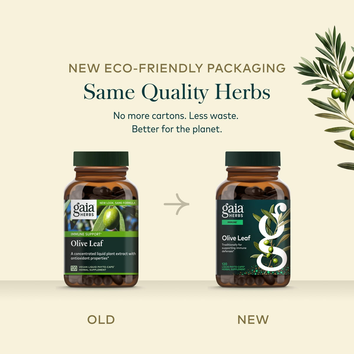Gaia Herbs Feuille d'Olivier capsules sur une table en bois