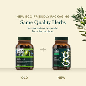 Gaia Herbs Feuille d'Olivier capsules sur une table en bois