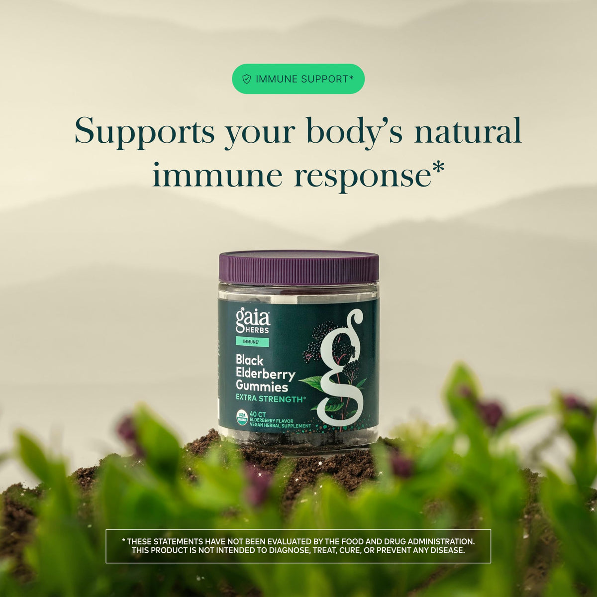 Gaia Herbs Gélifiés de Sureau Noir, gummies sur une surface en bois