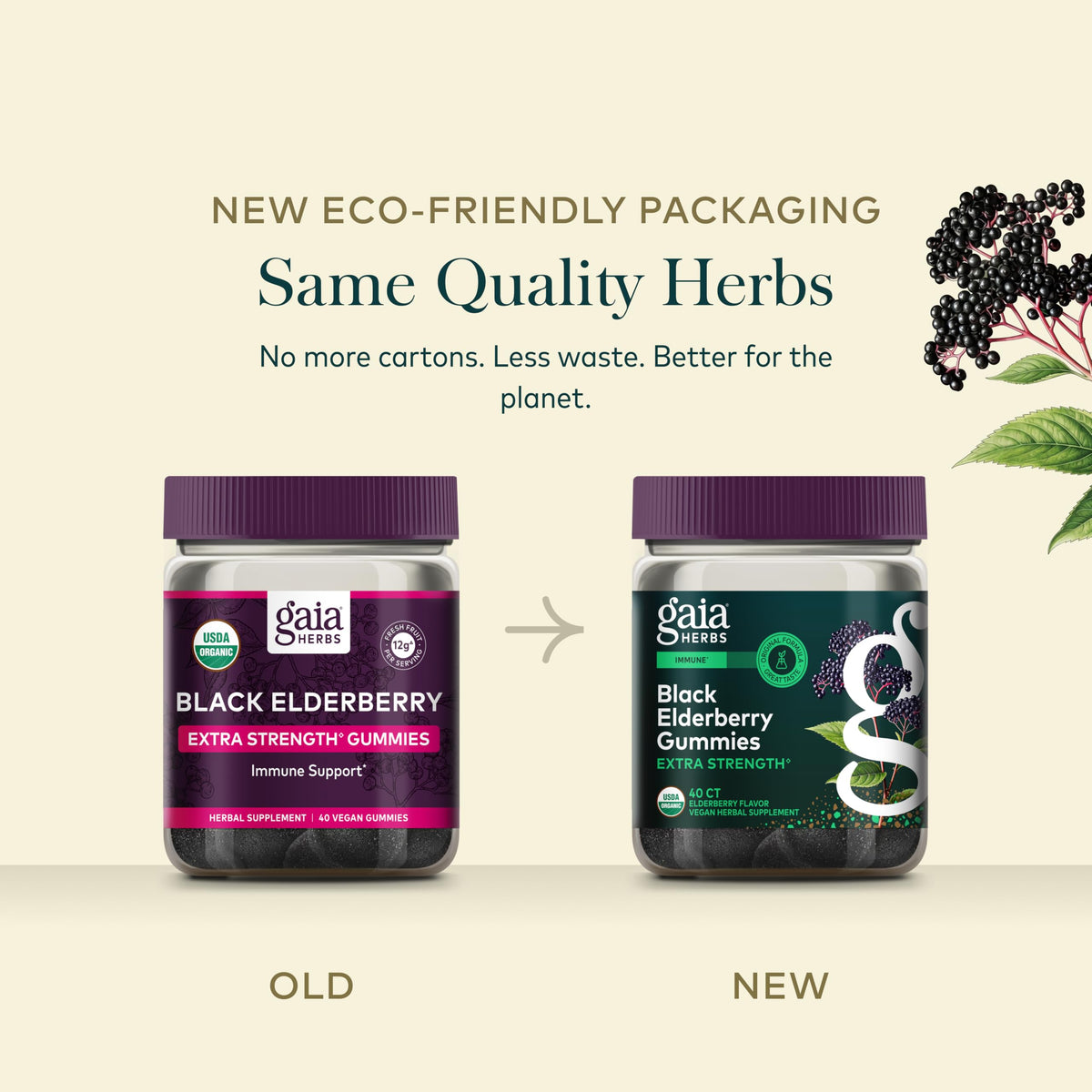 Gaia Herbs Gélifiés de Sureau Noir, gummies sur une table avec des plantes