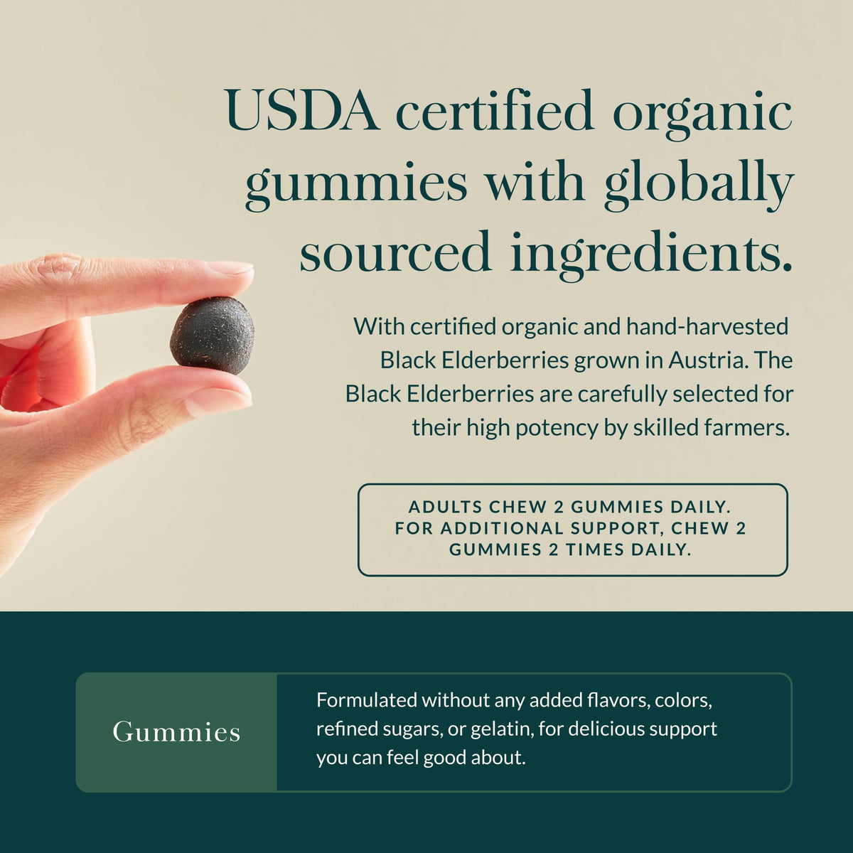 Gaia Herbs Gélules de Sureau Noir Extra Fort 120 Gummies avec des fruits de sureau