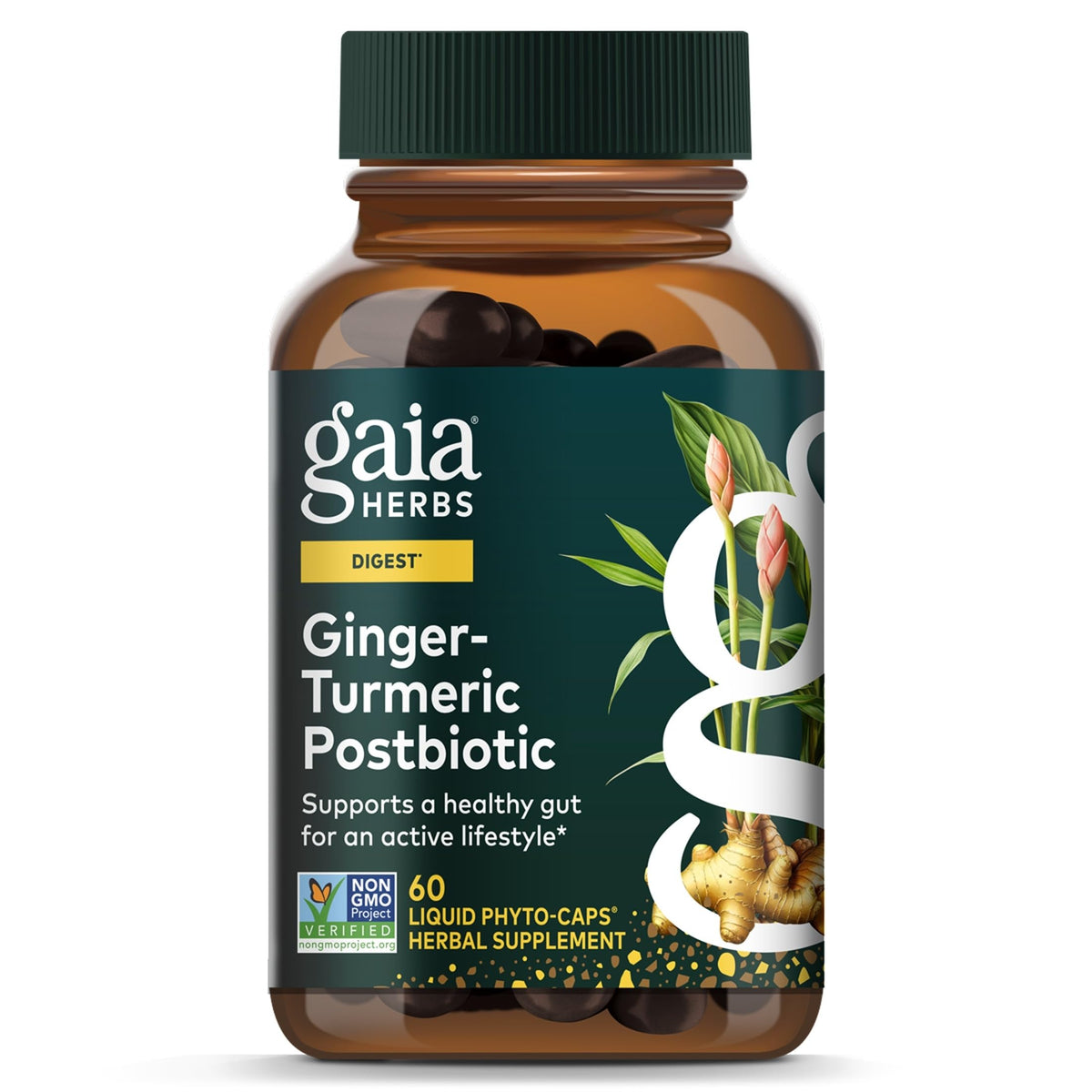 Gaia Herbs Gingembre-Curcuma 60 capsules végétales, vue de face