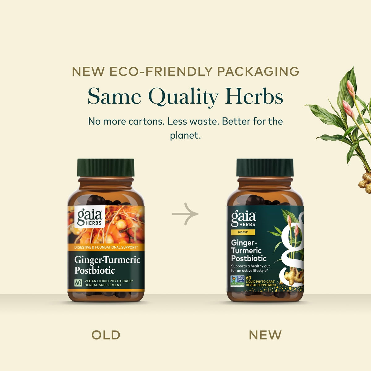 Gaia Herbs Gingembre-Curcuma, boîte avec capsules à côté