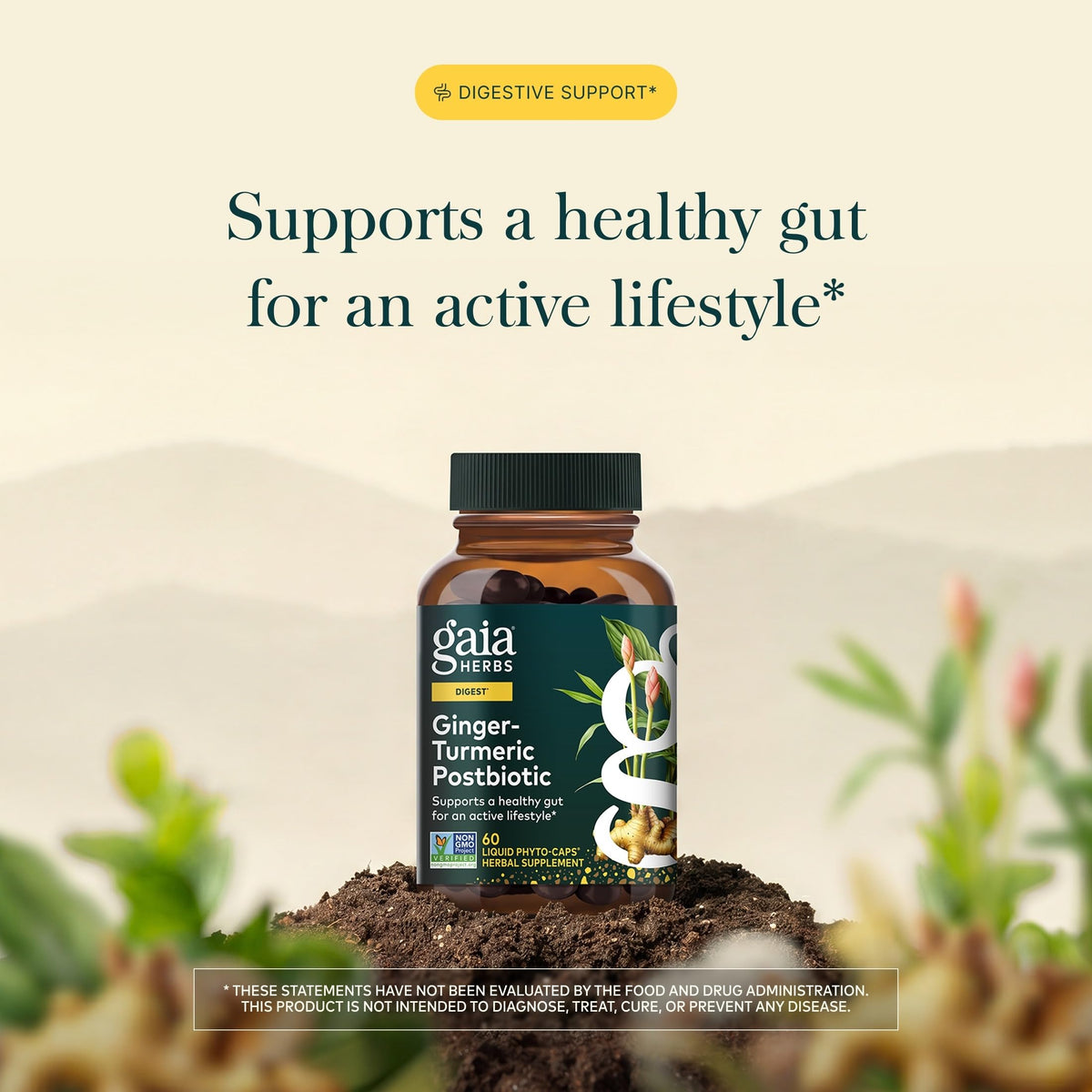 Gaia Herbs Gingembre-Curcuma, capsules ouvertes montrant le contenu