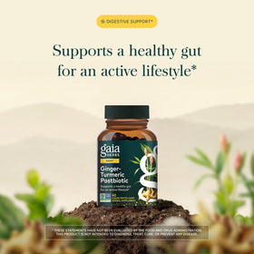 Gaia Herbs Gingembre-Curcuma, capsules ouvertes montrant le contenu