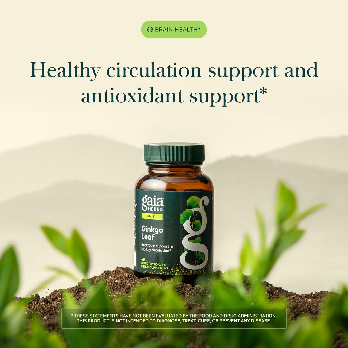 Gaia Herbs Ginkgo Biloba bouteille avec étiquette