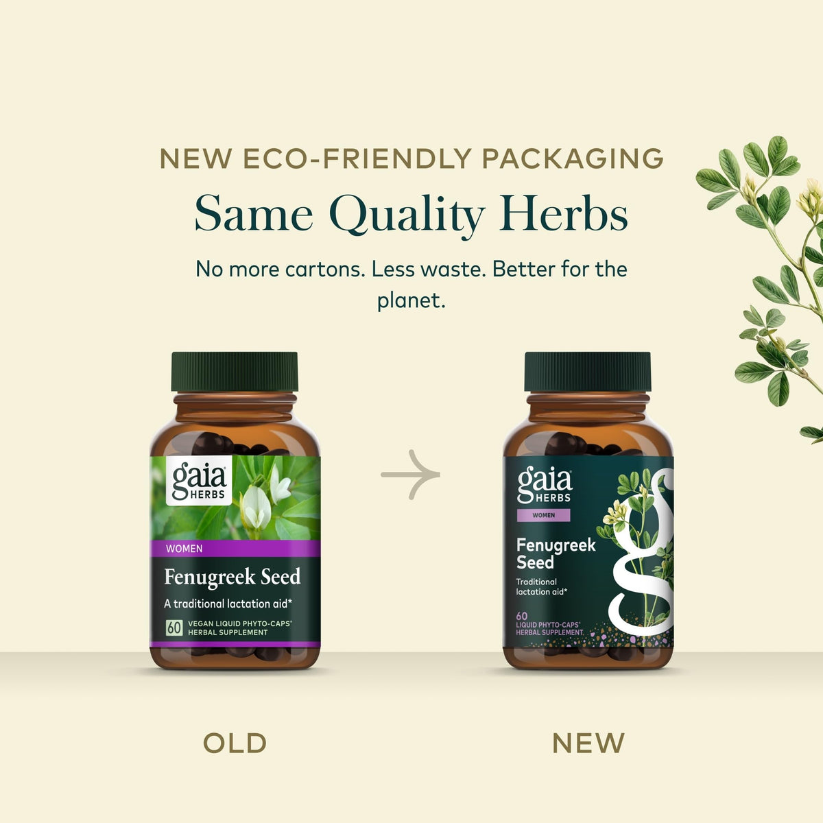 Gaia Herbs Graines de Fenugrec capsules sur une table en bois