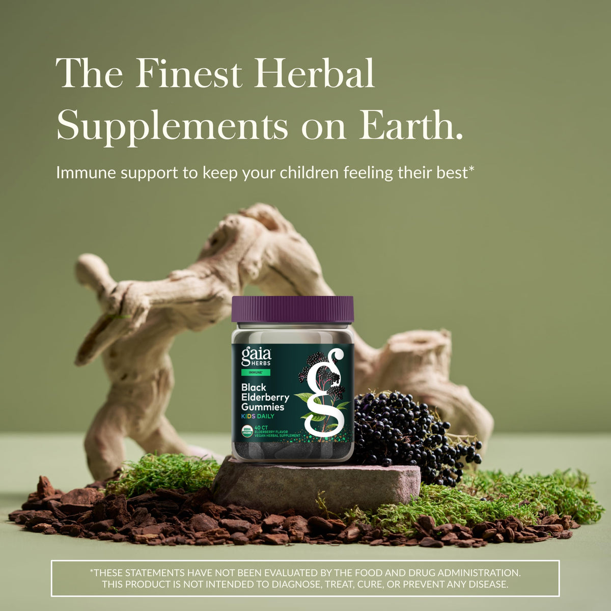 Gaia Herbs Gummies de Sureau Noir, pot ouvert avec gummies visibles