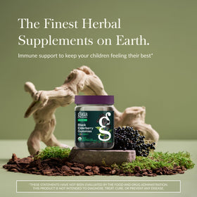 Gaia Herbs Gummies de Sureau Noir, pot ouvert avec gummies visibles
