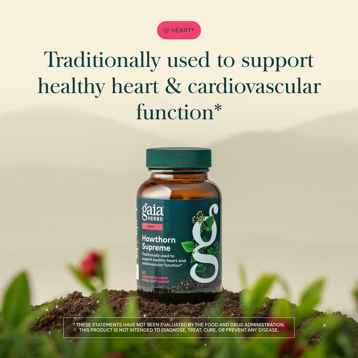 Gaia Herbs Hawthorn 60 capsules avec étiquette
