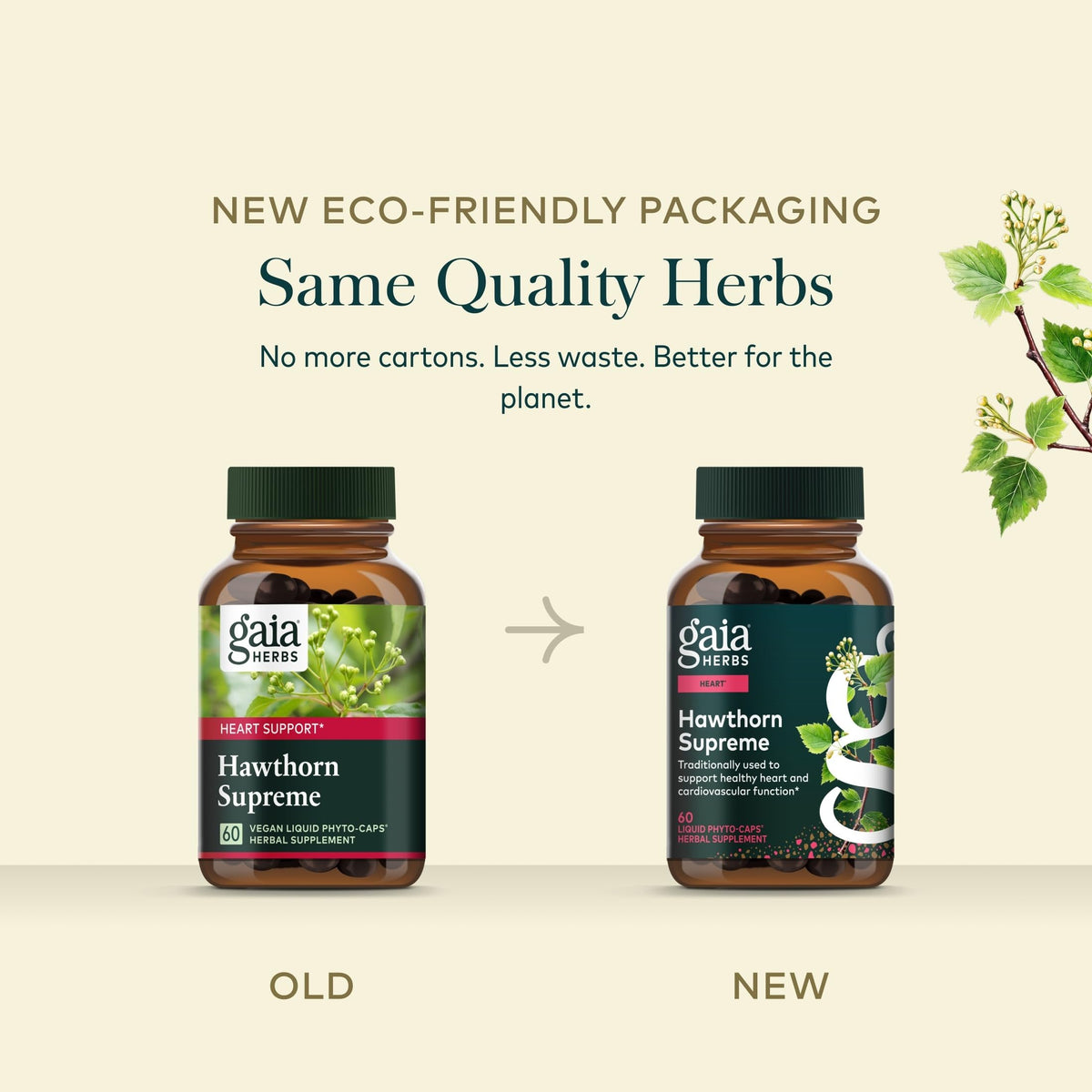 Gaia Herbs Hawthorn 60 capsules en milieu naturel