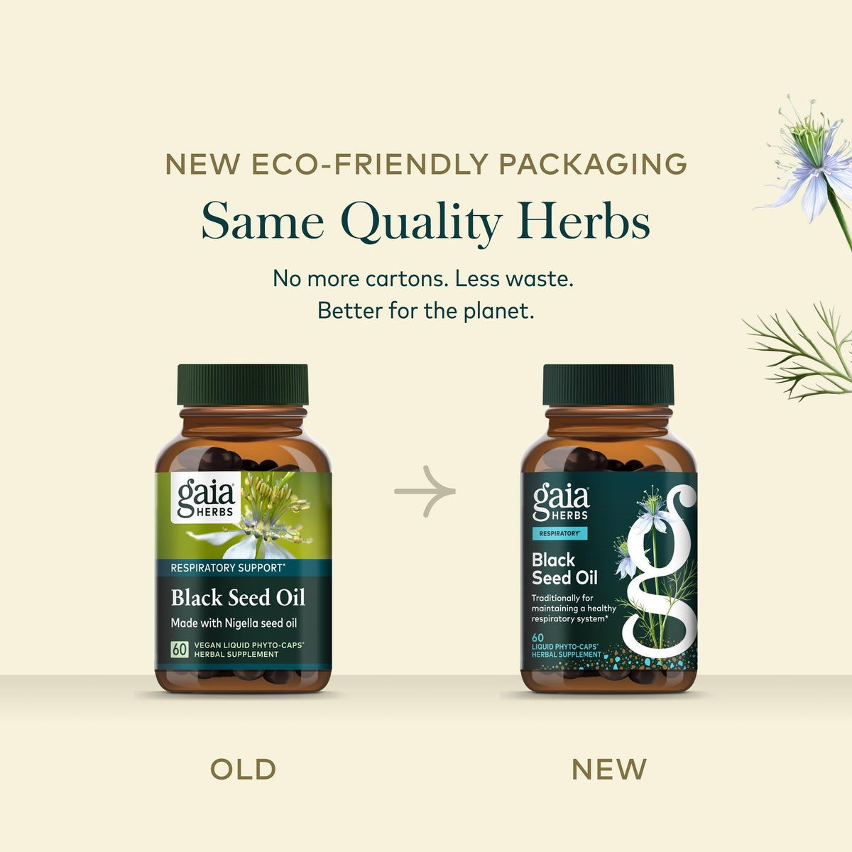 Gaia Herbs Huile de Graines Noires - capsules sur une table