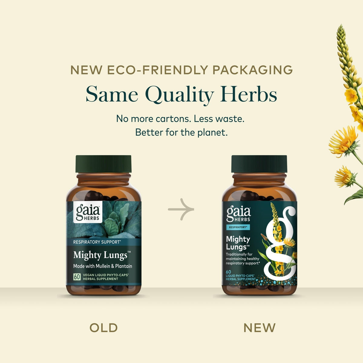 Gaia Herbs Mighty Lungs avec d'autres compléments alimentaires