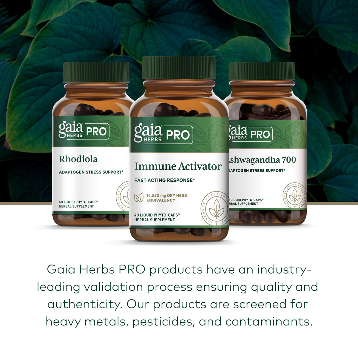Gaia Herbs PRO Activateur daily wellness avec fond de plantes