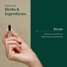 Gaia Herbs PRO Bacopa à côté d'herbes fraîches