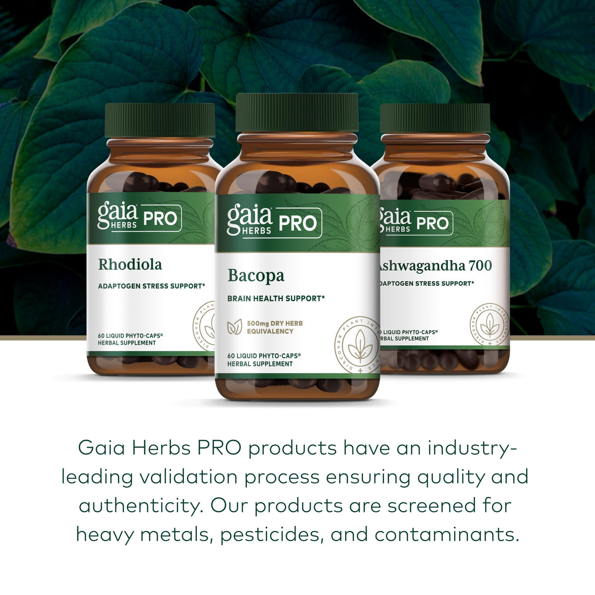Gaia Herbs PRO Bacopa Phyto-Capsules sur une table