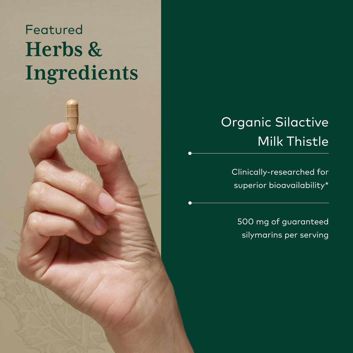 Gaia Herbs PRO Chardon-Marie 1000 mg - Détails des ingrédients