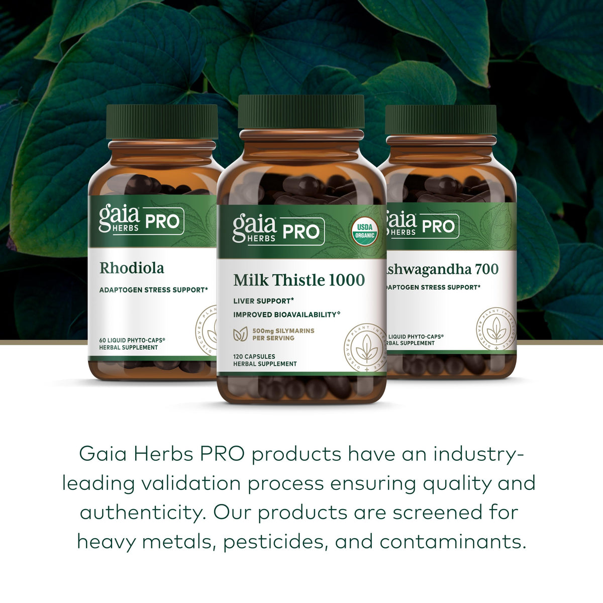 Gaia Herbs PRO Chardon-Marie 1000 mg - Utilisation avec des compléments alimentaires