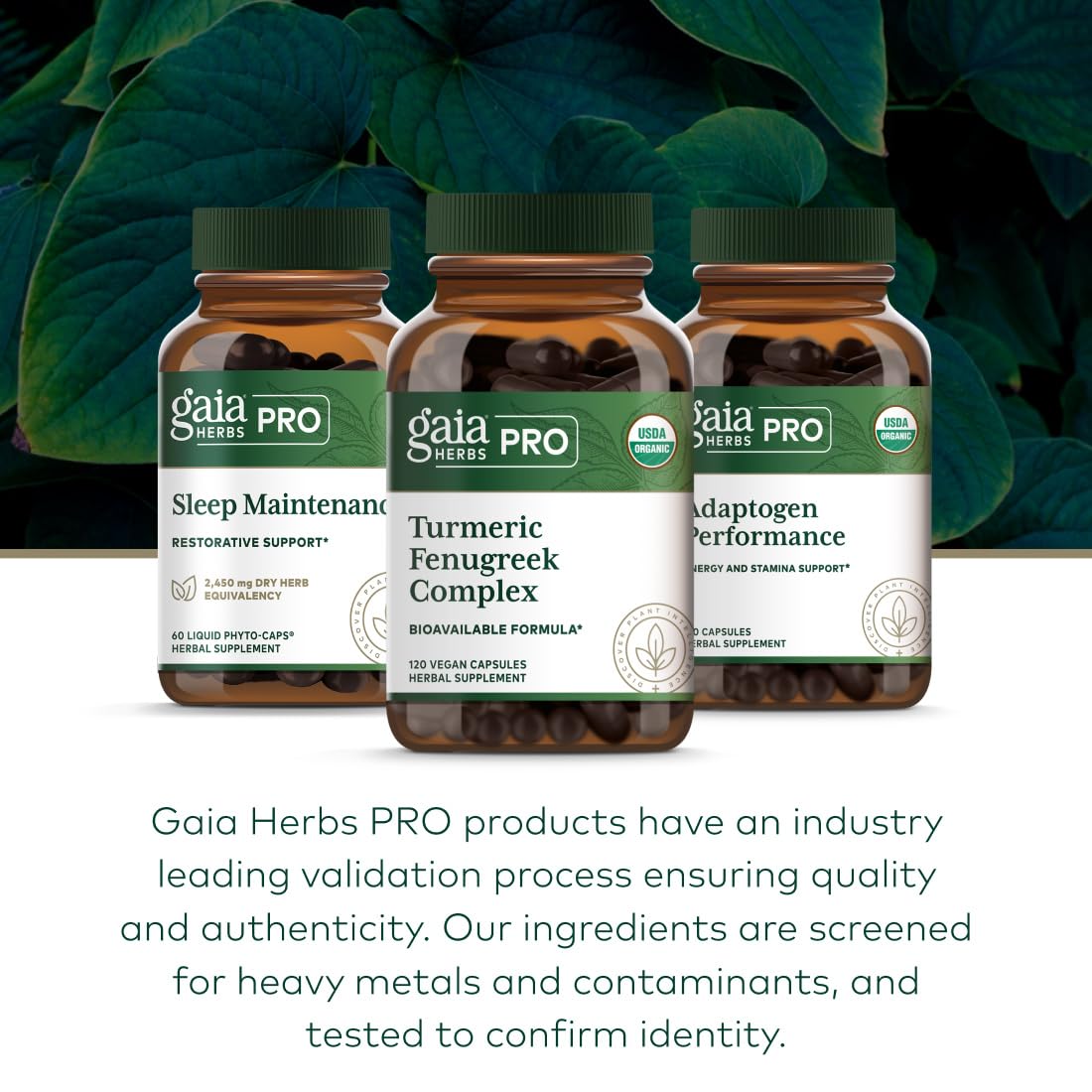 Gaia Herbs PRO Complexe Curcuma Fenugrec 120 capsules sur une table en bois