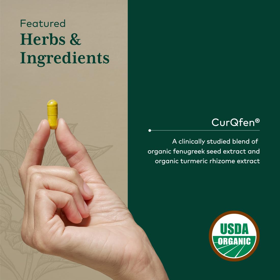 Gaia Herbs PRO Complexe Curcuma Fenugrec 120 capsules vue de dos