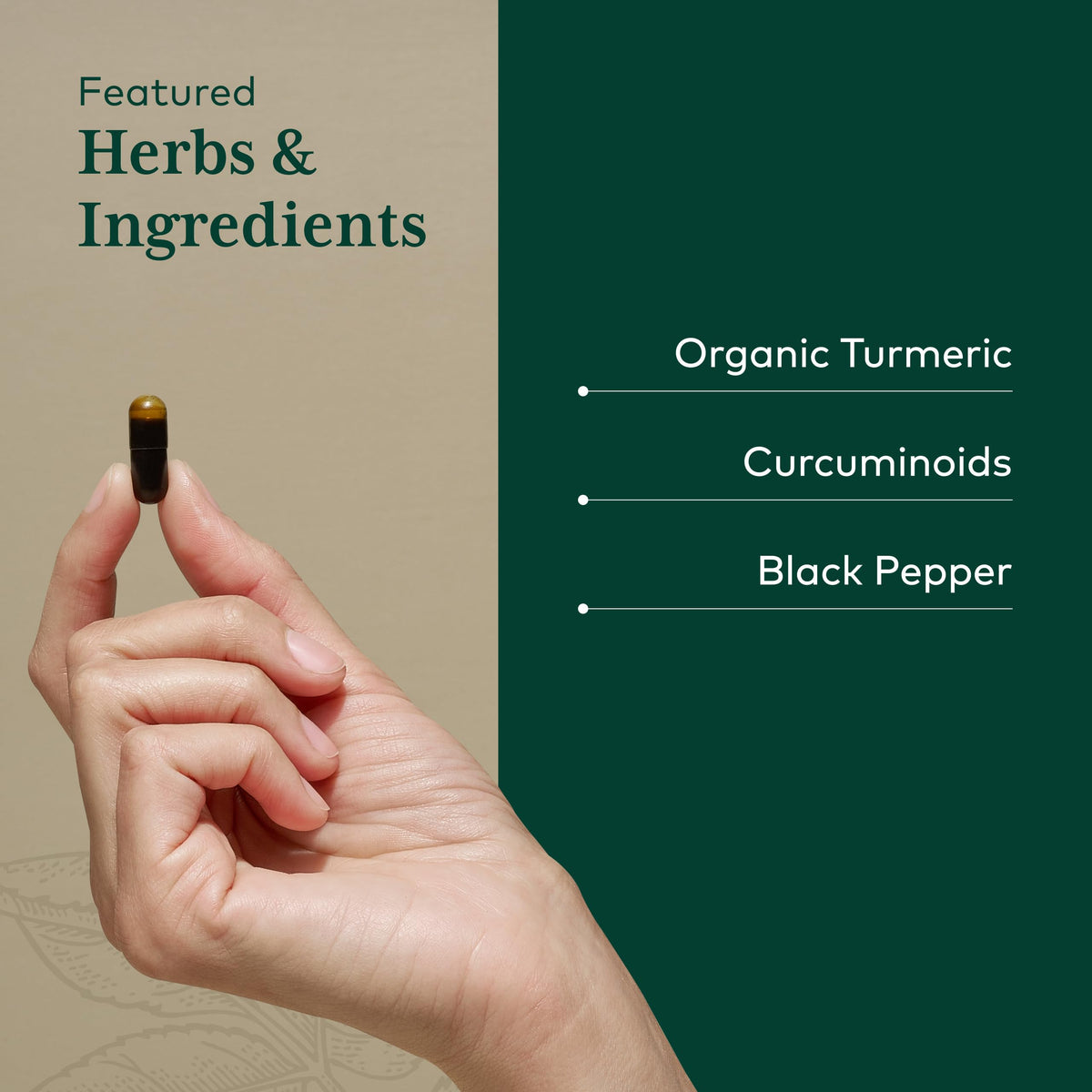 GAIA HERBS PRO Curcuma capsules ouvertes montrant le contenu