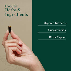 GAIA HERBS PRO Curcuma capsules ouvertes montrant le contenu