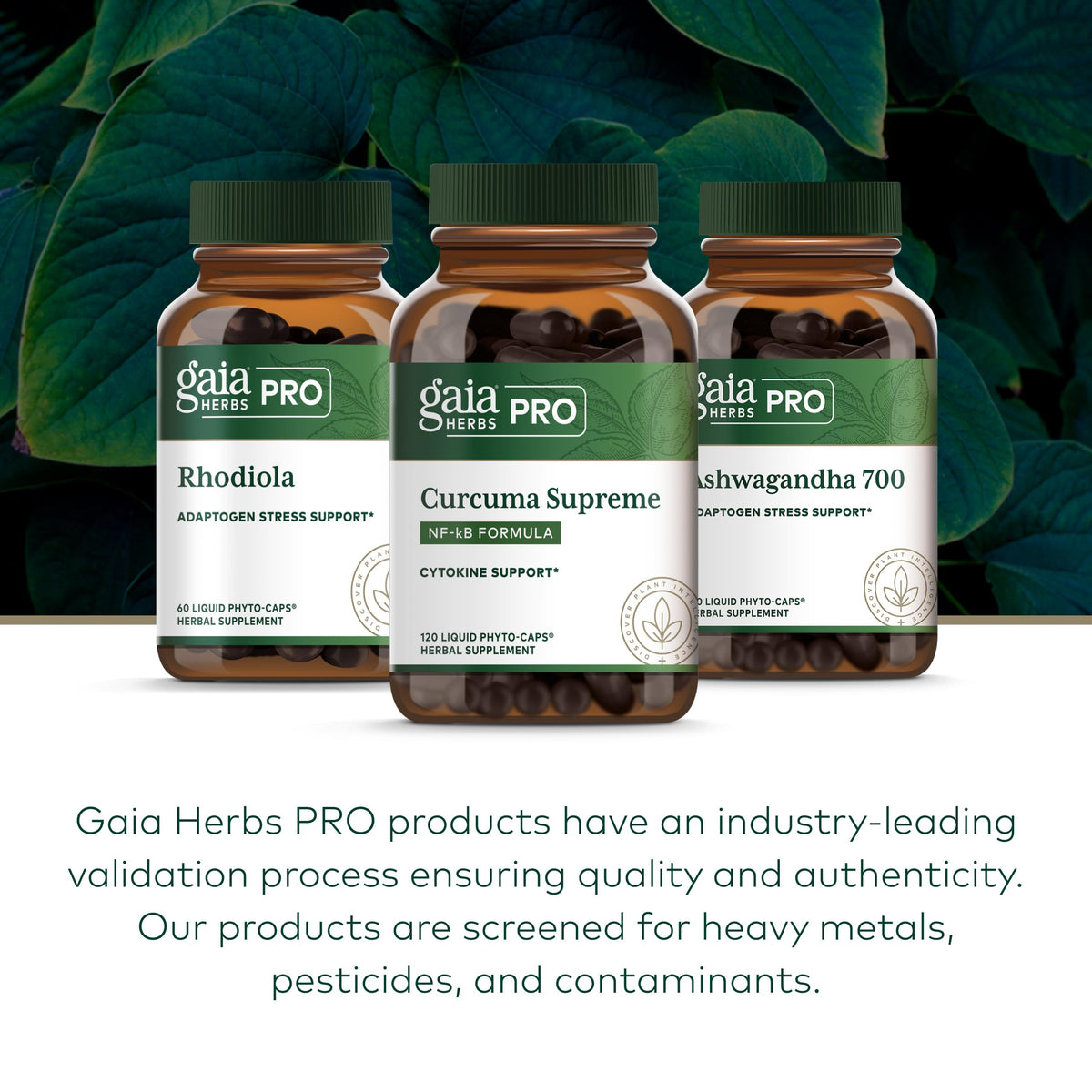 GAIA HERBS PRO Curcuma capsules sur une table en bois