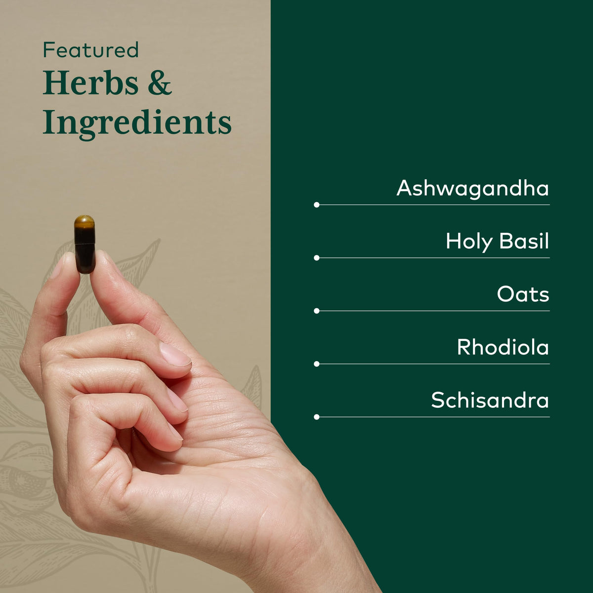 Gaia Herbs Pro Daytime HPA capsules à côté d'un verre d'eau