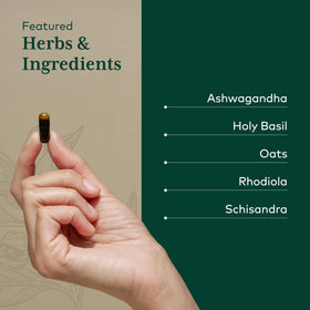 Gaia Herbs Pro Daytime HPA capsules à côté d'un verre d'eau
