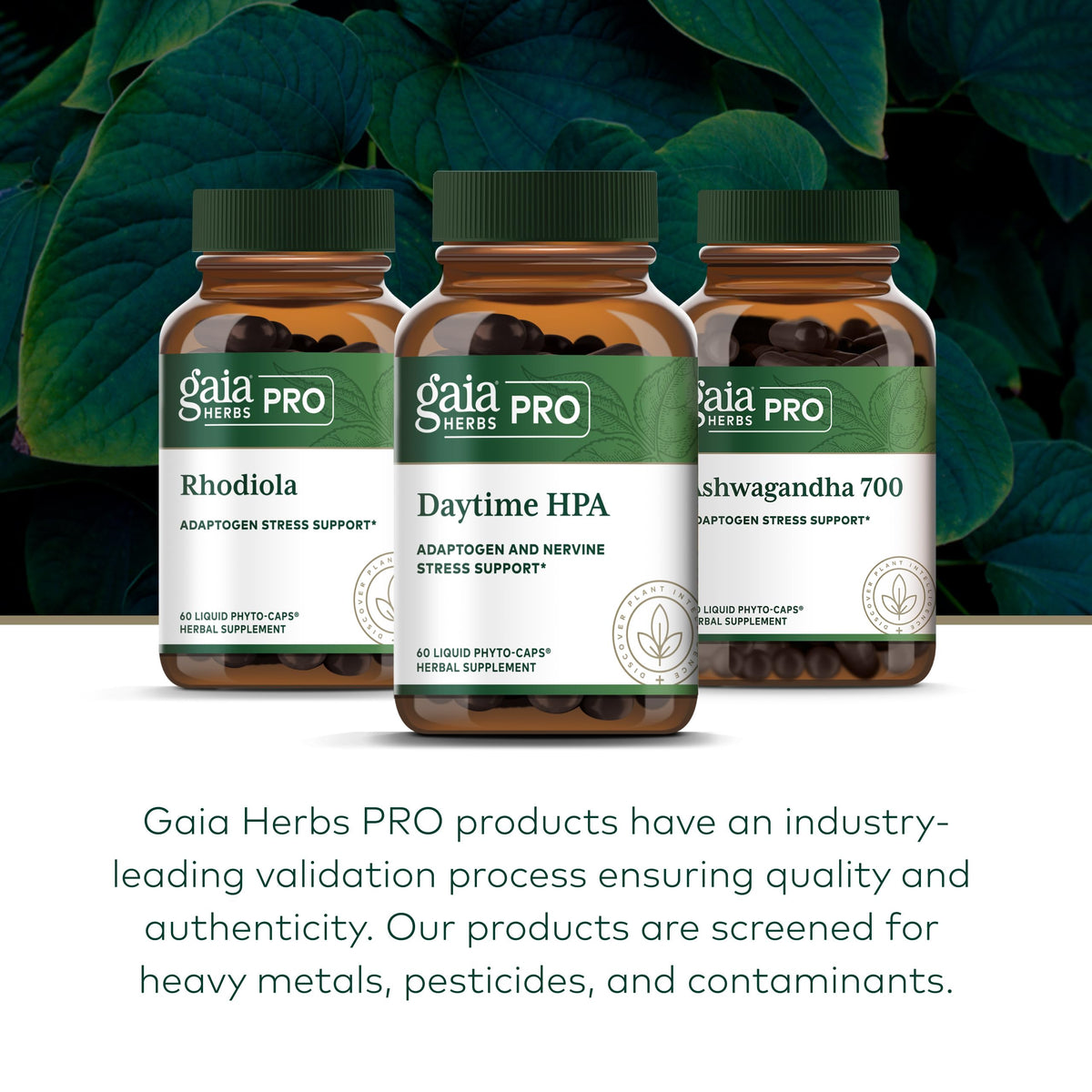 Gaia Herbs Pro Daytime HPA en usage quotidien avec d'autres compléments