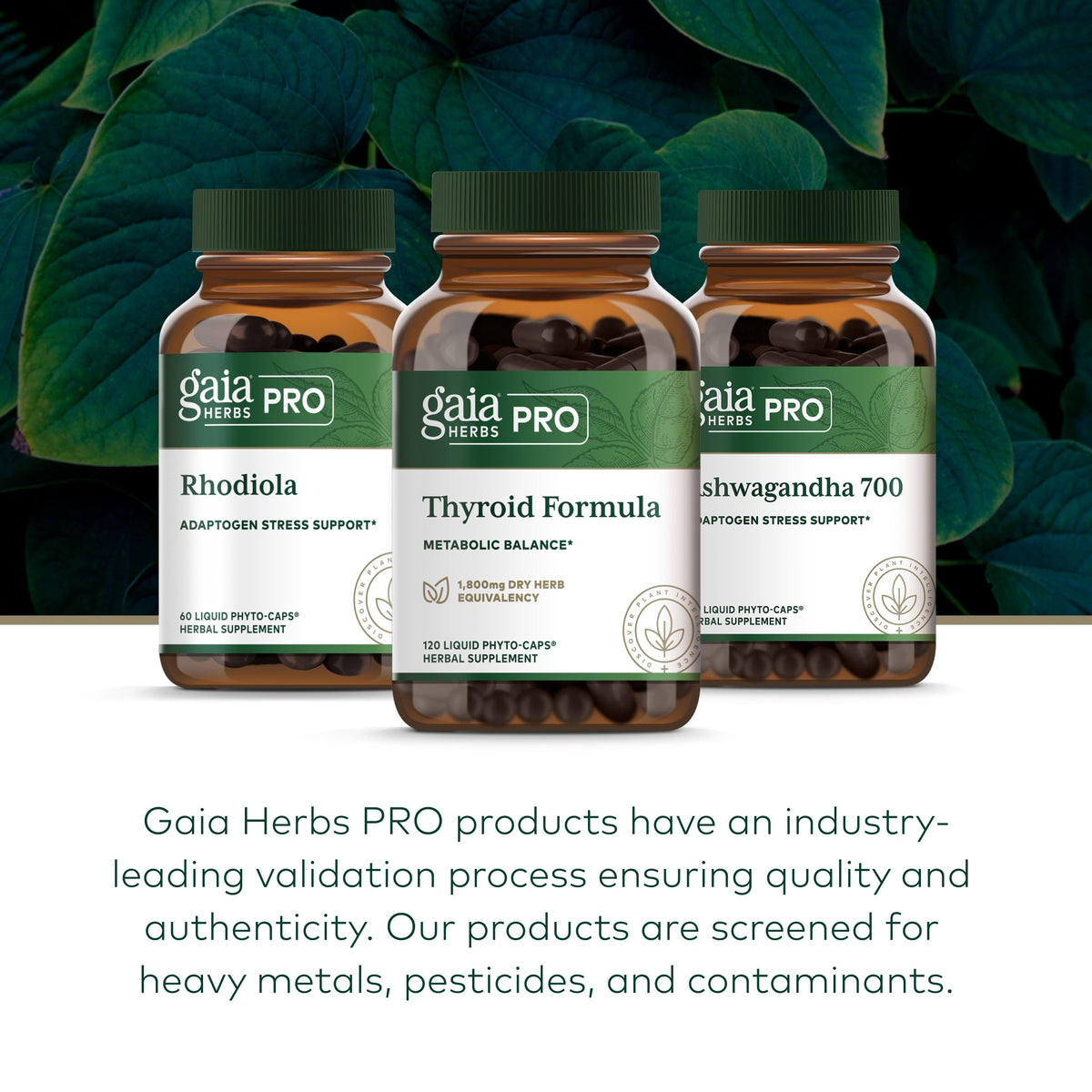 Gaia Herbs PRO Formule Thyroïdienne capsules liquides ouvertes