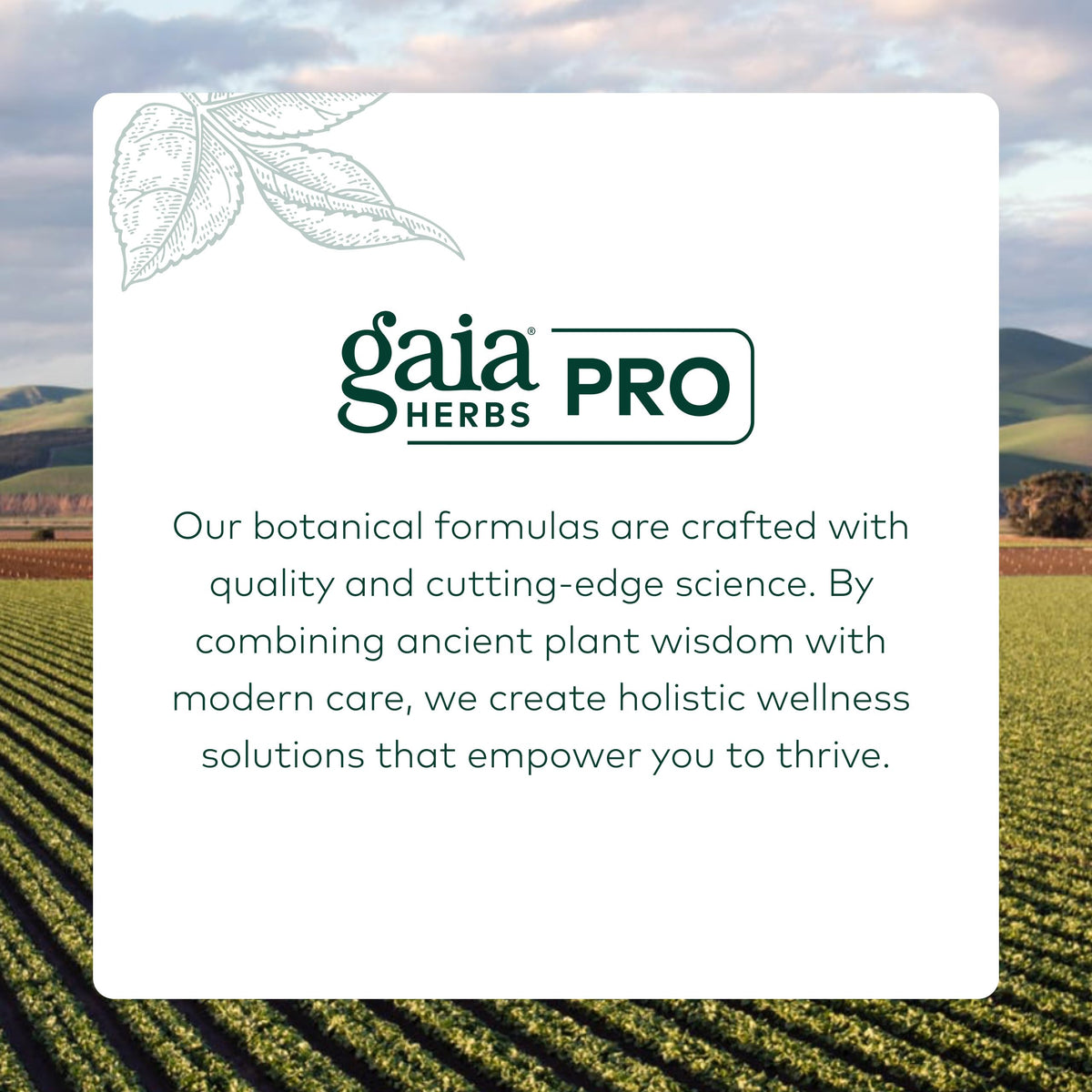 Gaia Herbs PRO Formule Thyroïdienne sur une table en bois