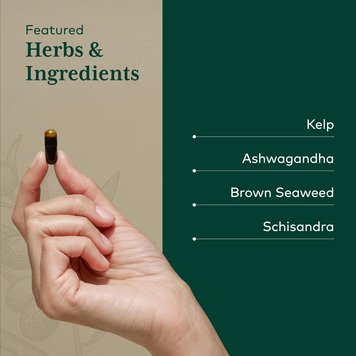 Gaia Herbs PRO Formule Thyroïdienne vue de côté du flacon