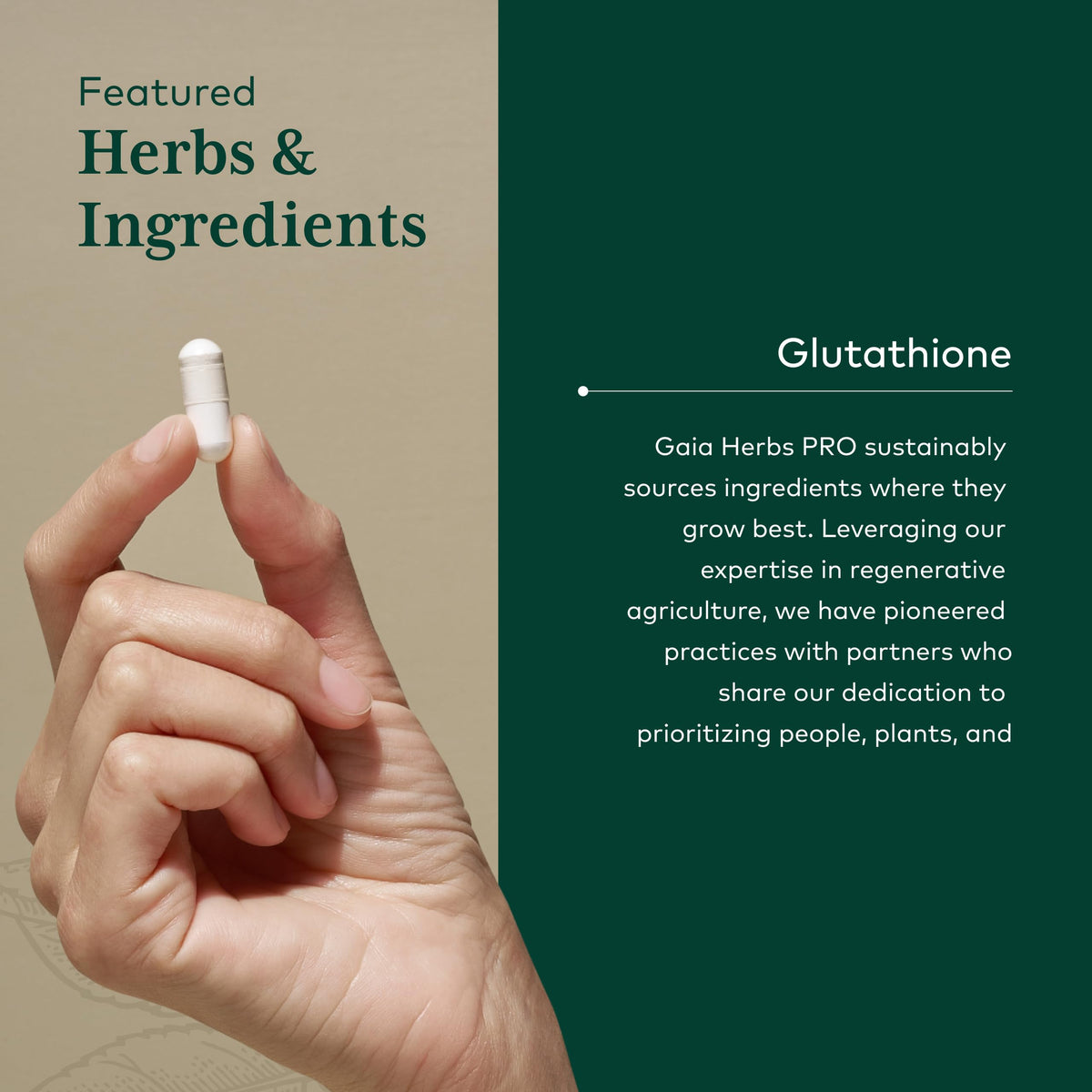 Gaia Herbs PRO Glutathione 500 étiquette de produit