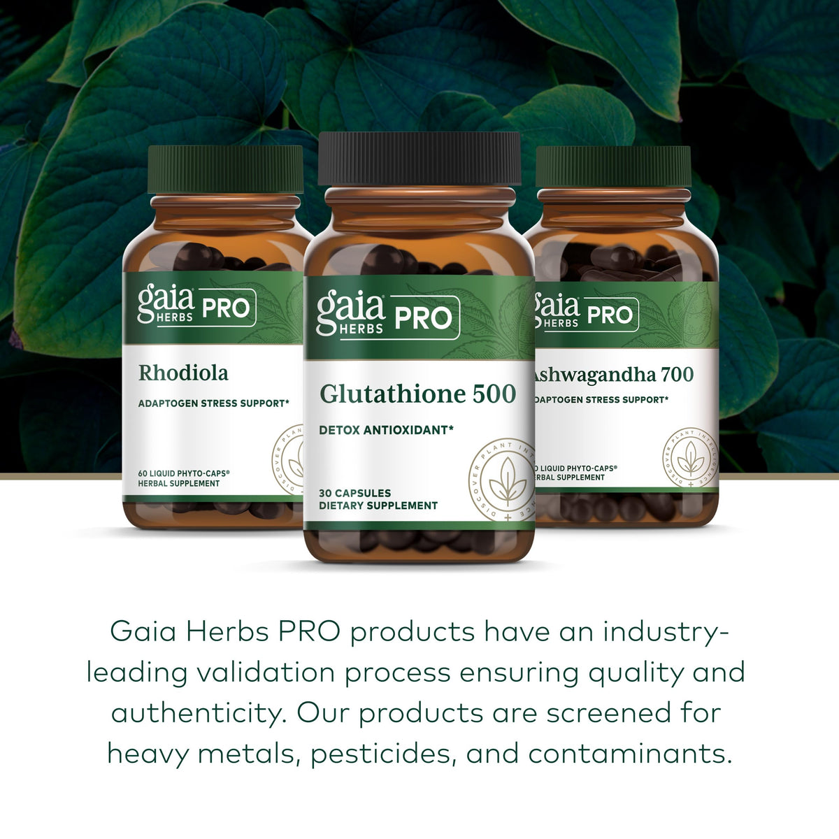 Gaia Herbs PRO Glutathione 500 présentation de la boîte