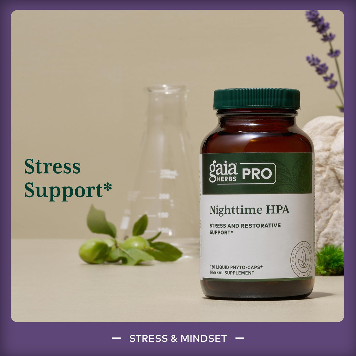 GAIA HERBS PRO Pro Nighttime HPA capsules sur une surface en bois