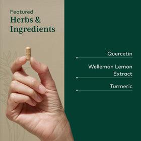 Gaia Herbs PRO Quercetin Synergy 500 capsules en gros plan