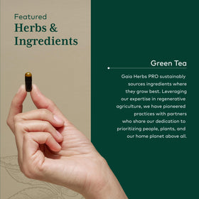 Gaia Herbs PRO Thé Vert dans un environnement naturel