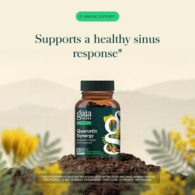 Gaia Herbs Quercetin Synergy capsules sur fond blanc